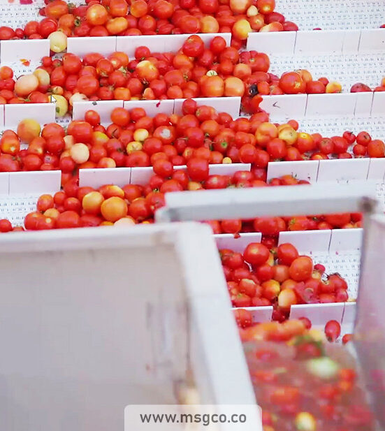 دستگاه شستشو بالابر محصول ماشین سازی عاشوری