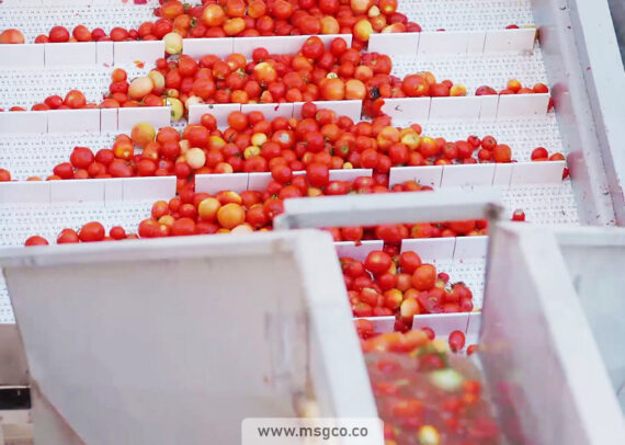 دستگاه شستشو بالابر محصول ماشین سازی عاشوری
