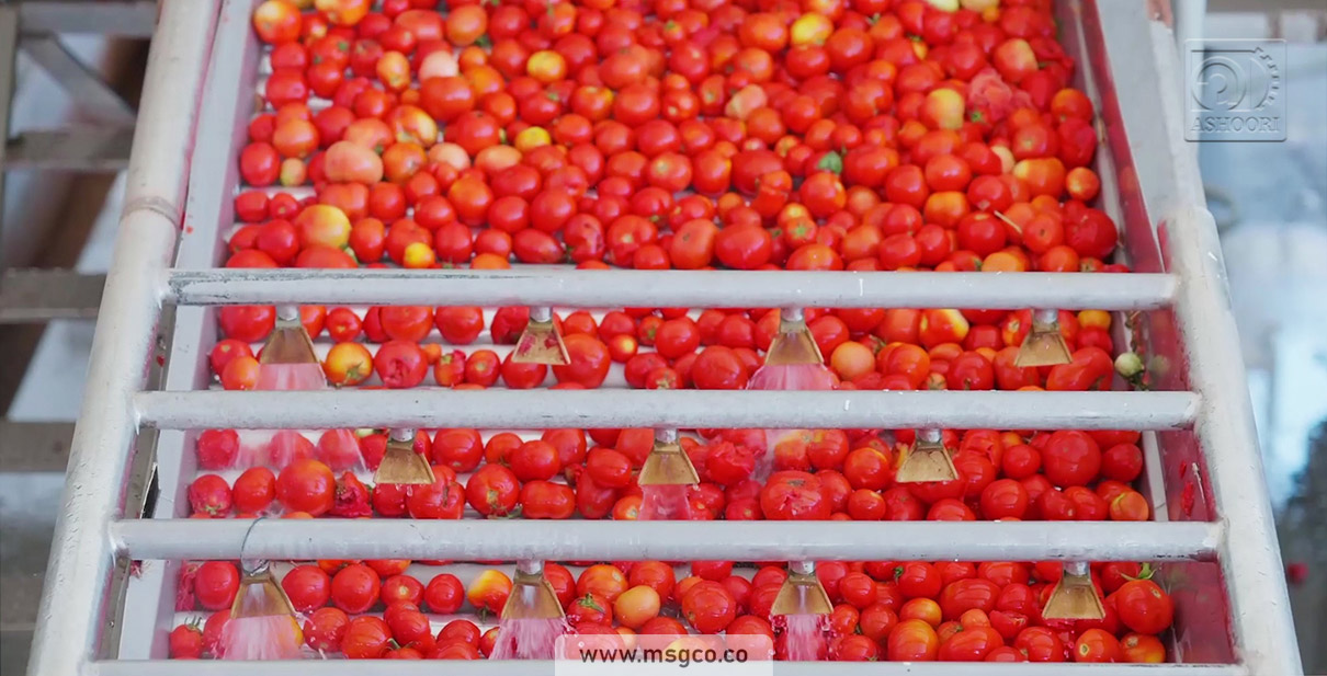 دستگاه سورتینگ گوجه و میوه ماشین سازی عاشوری
