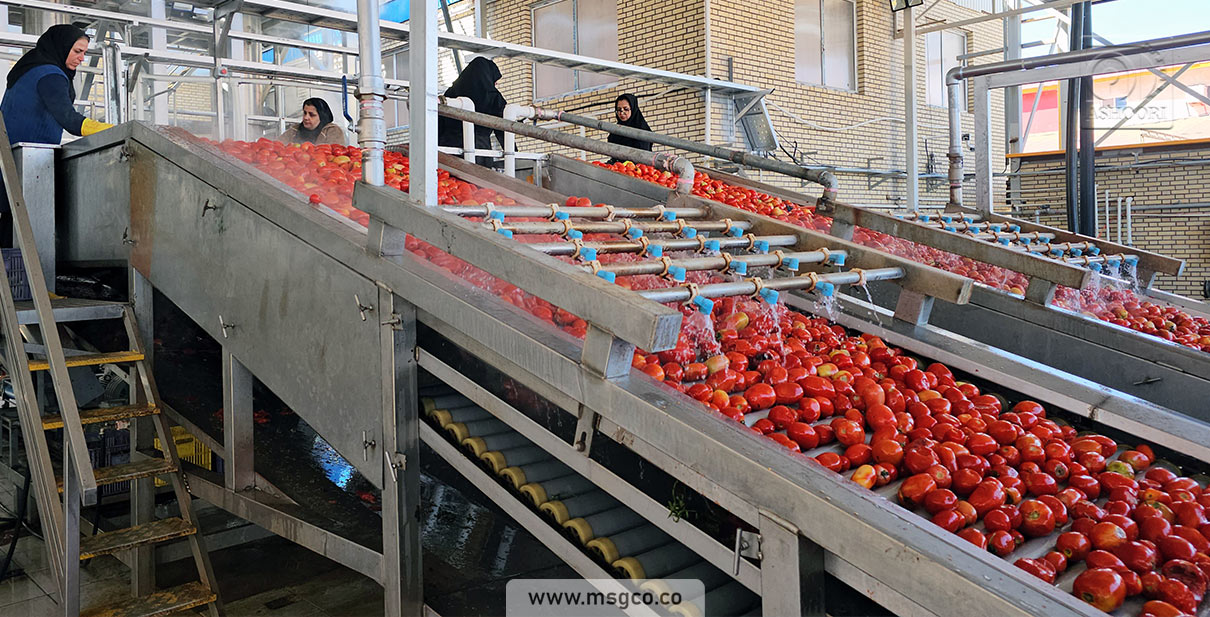 دستگاه سورتینگ گوجه و میوه ماشین سازی عاشوری