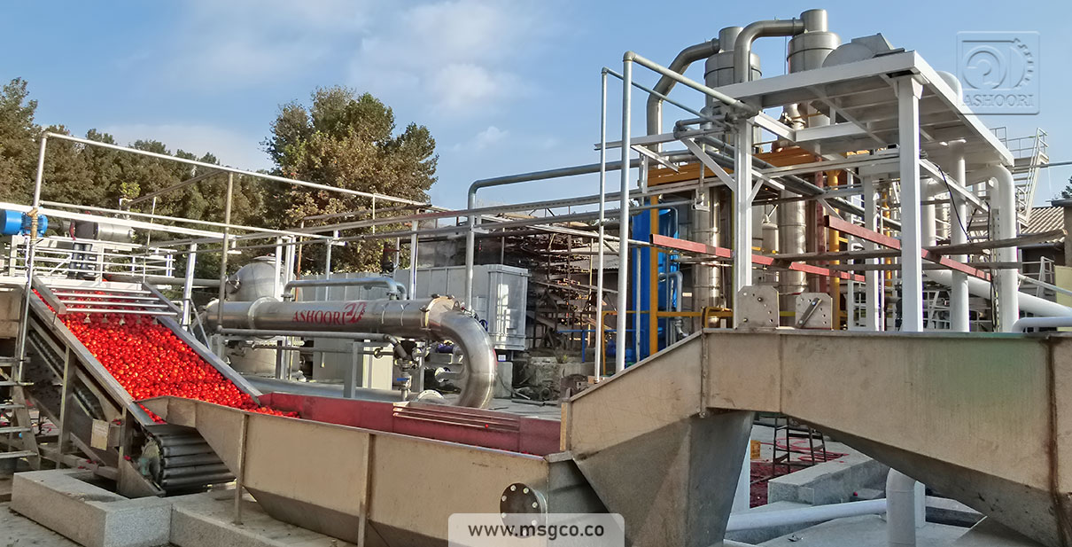 دستگاه سورتینگ گوجه و میوه ماشین سازی عاشوری