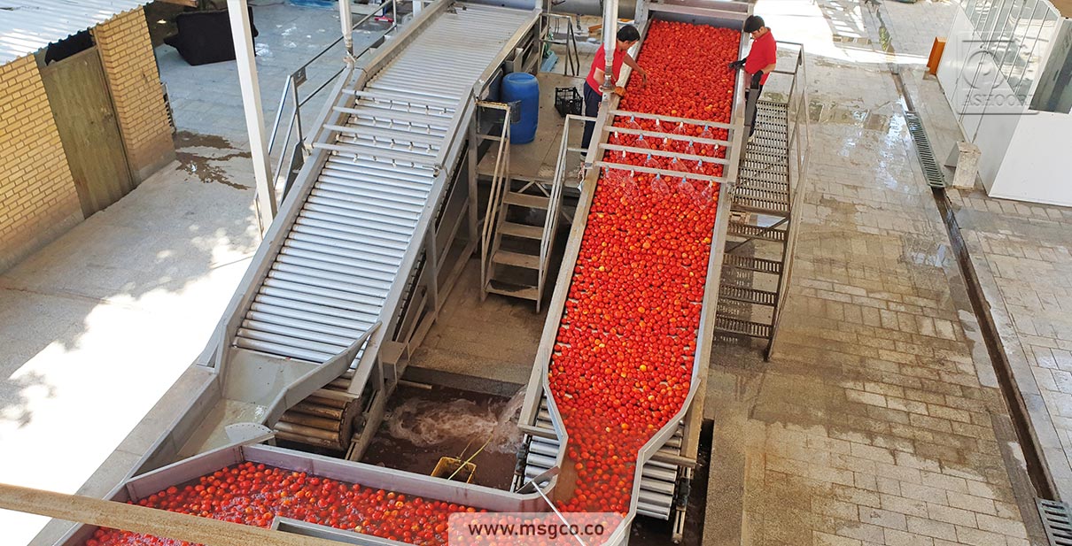 دستگاه سورتینگ گوجه و میوه ماشین سازی عاشوری