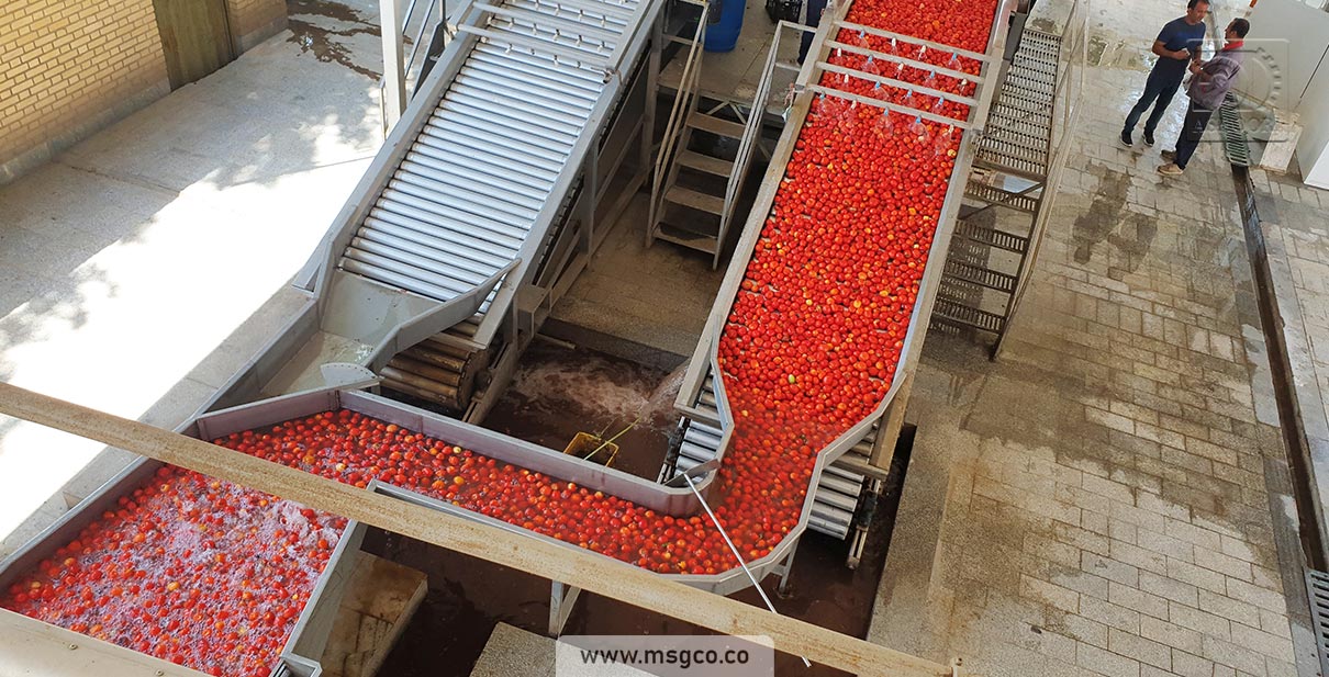 دستگاه سورتینگ گوجه و میوه ماشین سازی عاشوری