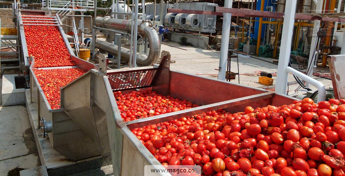 دستگاه سورتینگ گوجه و میوه ماشین سازی عاشوری