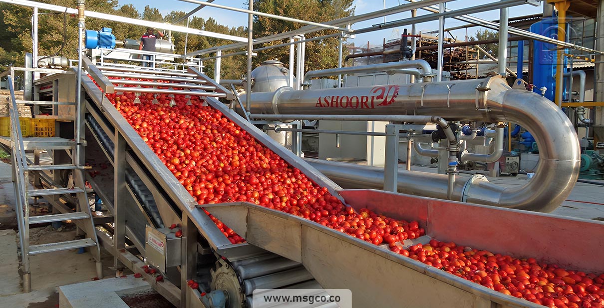 دستگاه سورتینگ گوجه و میوه ماشین سازی عاشوری