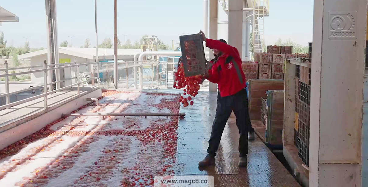 وان دریافت اولیه شستشو محصول خط گوجه فرنگی ماشین سازی عاشوری