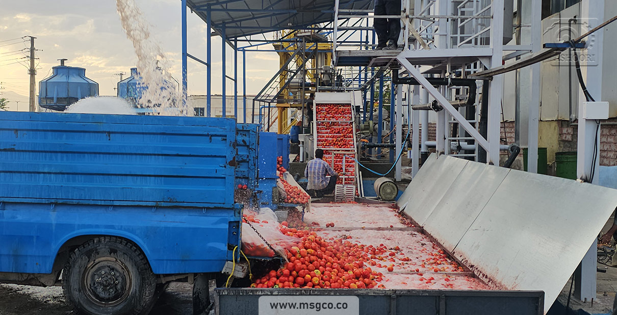 وان دریافت اولیه شستشو محصول خط گوجه فرنگی ماشین سازی عاشوری