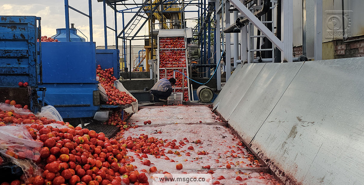 وان دریافت اولیه شستشو محصول خط گوجه فرنگی ماشین سازی عاشوری