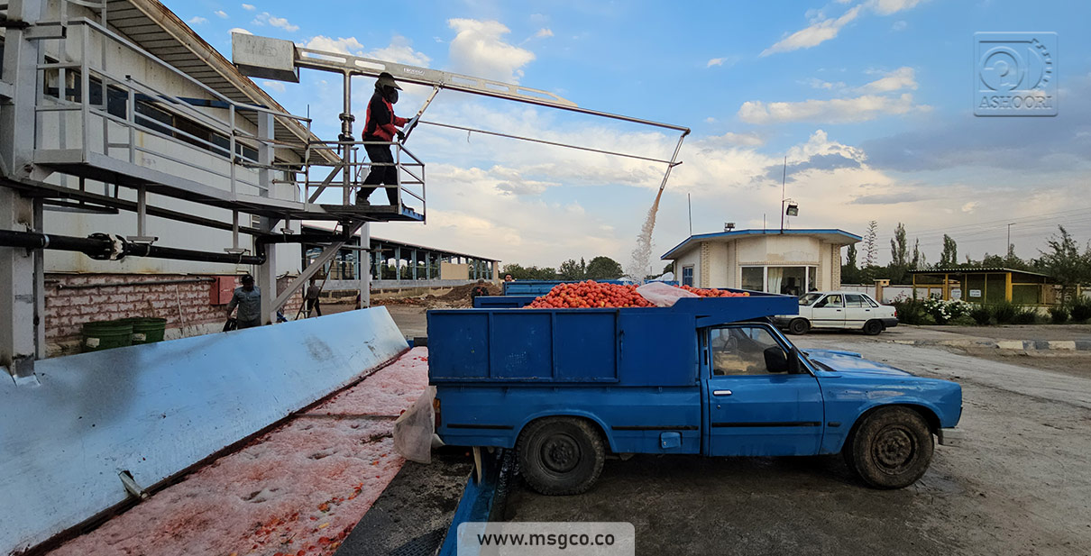 وان دریافت اولیه شستشو محصول خط گوجه فرنگی ماشین سازی عاشوری