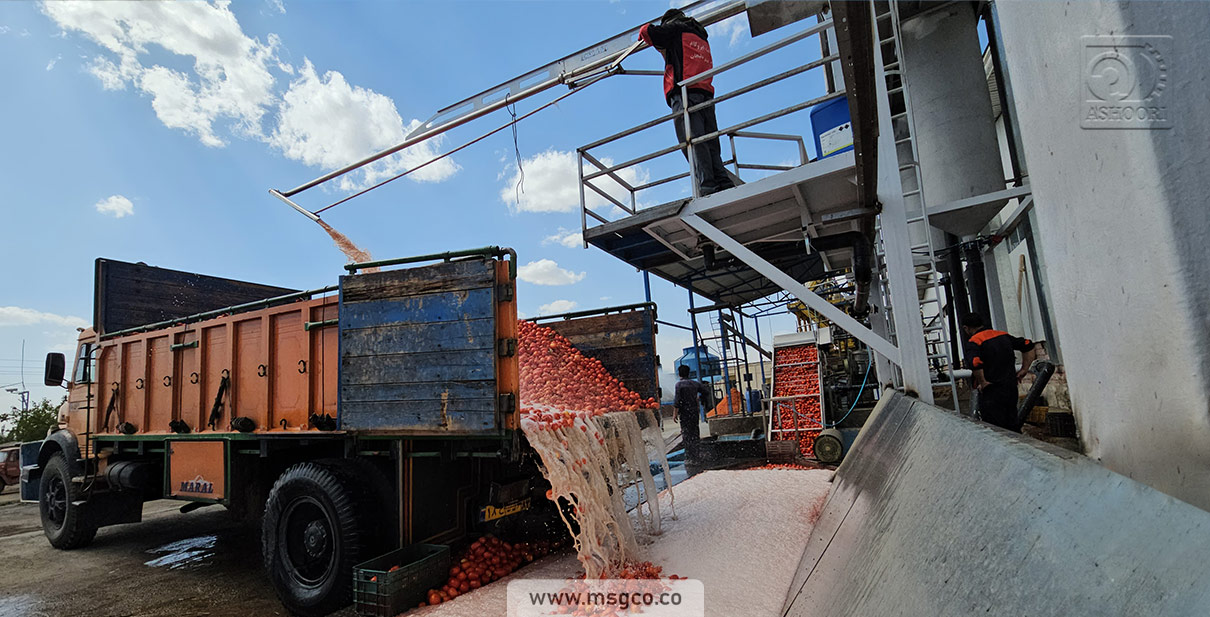 وان دریافت اولیه شستشو محصول خط گوجه فرنگی ماشین سازی عاشوری