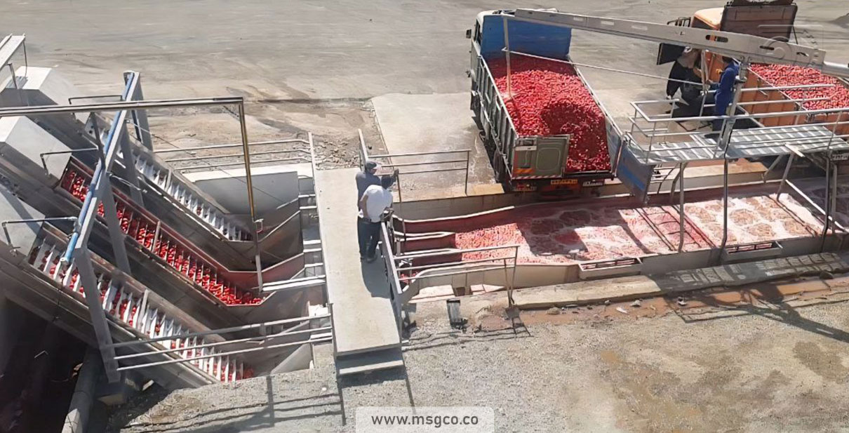 وان دریافت اولیه شستشو محصول خط گوجه فرنگی ماشین سازی عاشوری